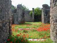 【時を超える旅】ポンペイ遺跡で古代ローマの鼓動を感じる🌿🕰️