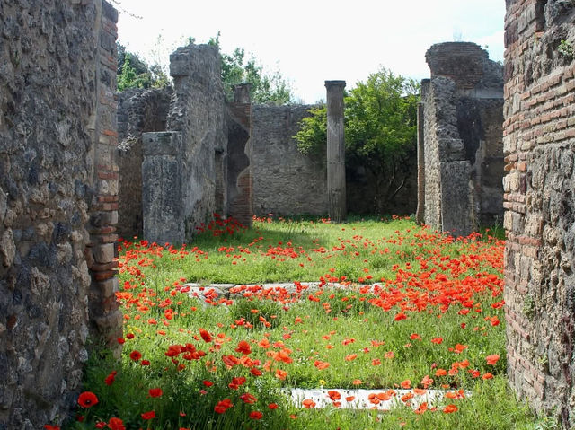 【時を超える旅】ポンペイ遺跡で古代ローマの鼓動を感じる🌿🕰️