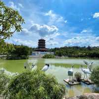 ～龍潭公園～古典園林～
