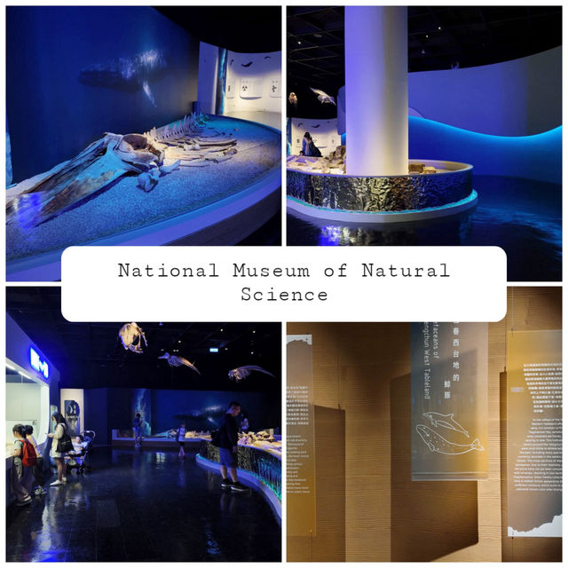 นิทรรศการ Giant Unearthed - A Taiwan Whale’s Tale