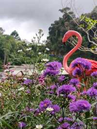🌺 สวนหมื่นบุบผา (Thousand Flowers Garden)