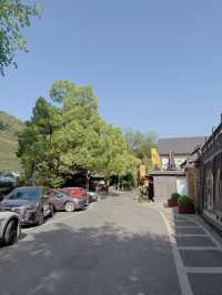 หมู่บ้านชาหลงจิ่ง (龙井村 / Longjing Village)