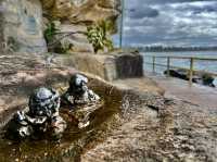 Shelly Beach – Sydney