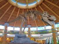 Adventure awaits in Jurassic Park in USS