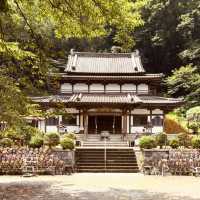 🌿 Solo Escape: Nakai-machi – Kanagawa’s Hidden Mountain Gem