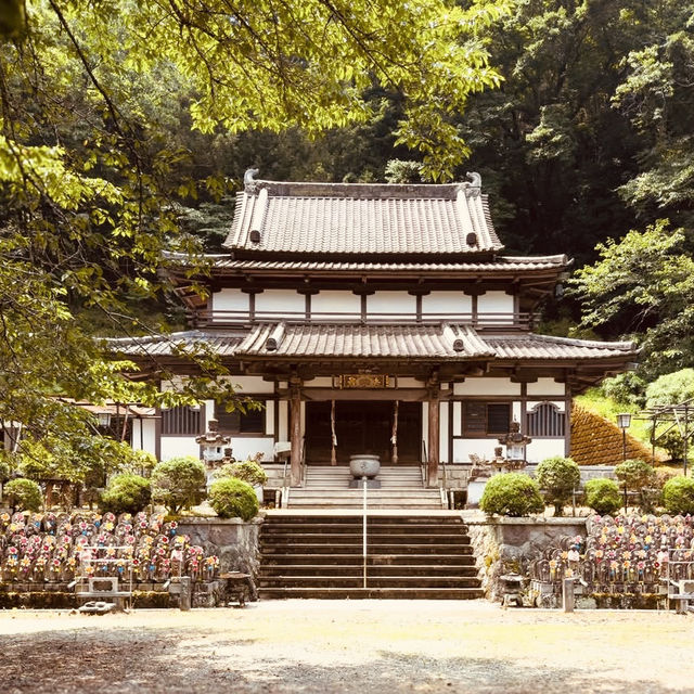 🌿 Solo Escape: Nakai-machi – Kanagawa’s Hidden Mountain Gem