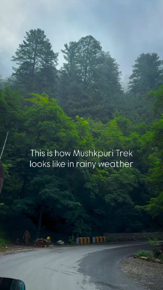 Best Trekking experience whispering with nature - Mushkpuri Trail 