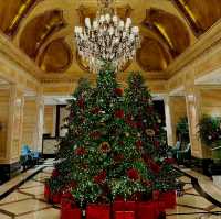 Timeless Elegance in the Heart of Kowloon