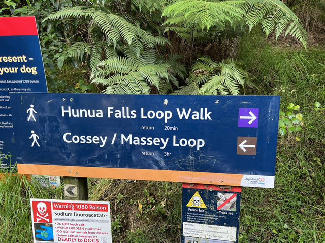 紐西蘭旅遊景點—💦 Hunua Falls｜奧克蘭後山的森林瀑布美景