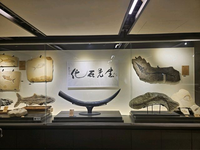台中最大型及最值得去的博物館