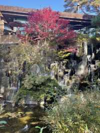 리솜 포레스트 정원 산책