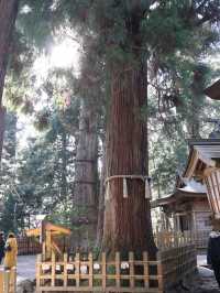 【宮崎】神話と縁結びの聖地⛩️高千穂神社で心を結ぶ旅