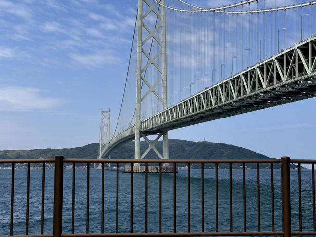 Kobe Maiko: A Half-Day Surprise (and Regret!) by the Sea! 🌊🍣