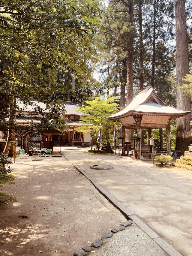 ⛩️ 絕景寺廟大挑戰！三德山三佛寺⚠️ 還有谷川天狗堂豆腐咖啡！