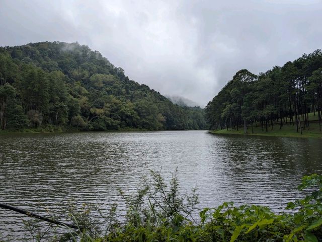 Journey to Pang Ung: Where Mountains Meet Misty Clouds