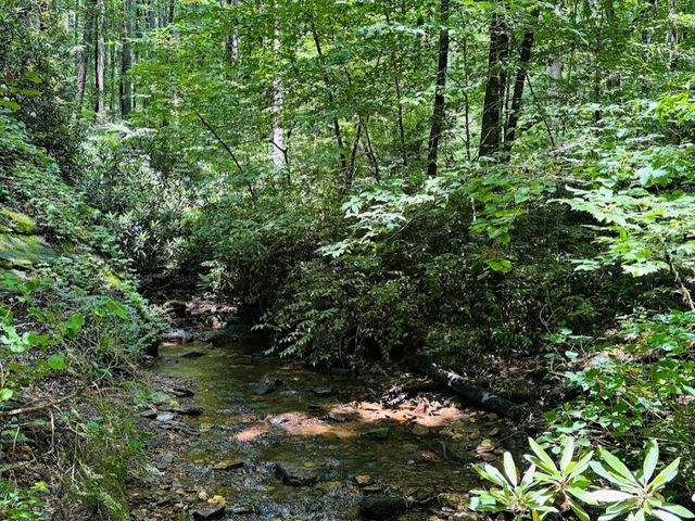 Pisgah National Forest