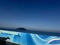 【韓国旅行🇰🇷】済州の海を見たよ！🌊