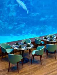 The Sea Shell-越南最大的水族館，吸睛巨型海龜造型