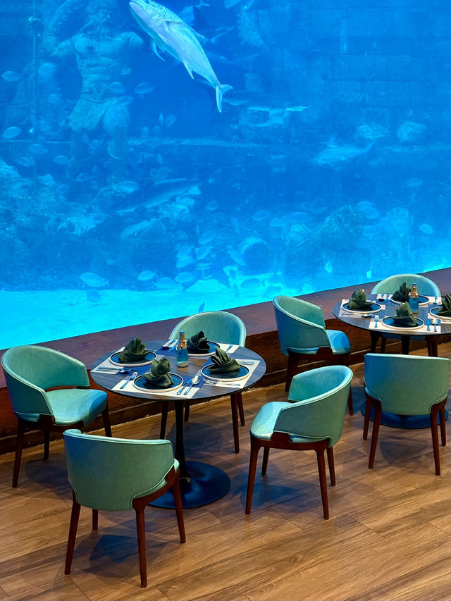 The Sea Shell-越南最大的水族館，吸睛巨型海龜造型
