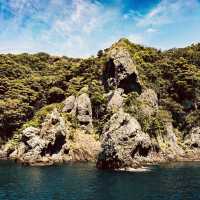 Irozaki Sightseeing Boat: A Solo Adventure Along Shizuoka’s Dramatic Coastline"** 🌊⛵  