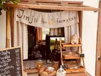 JINJU the orange farm