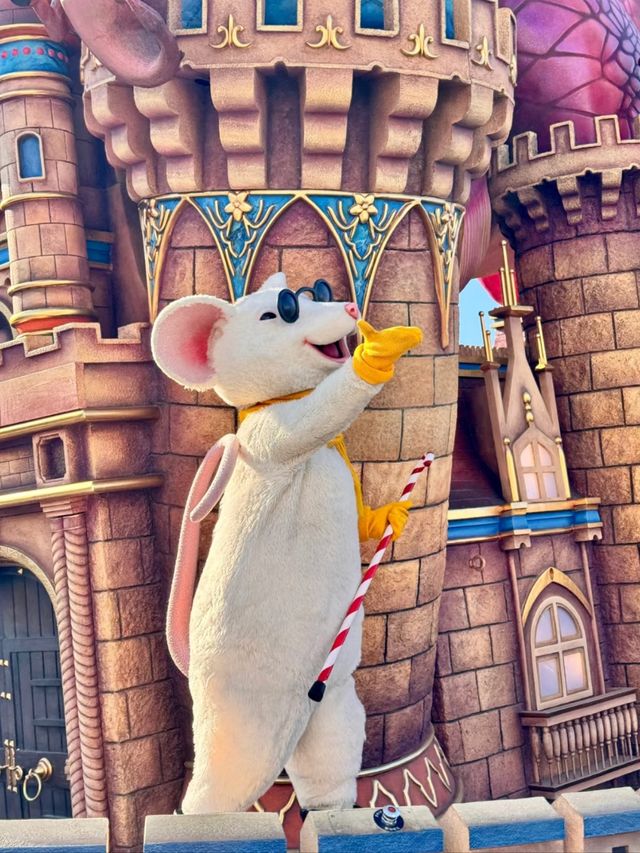 Picture-Perfect Moments at Universal Studios Beijing