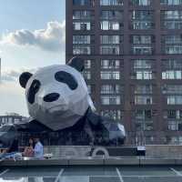 เช็คอินเฉิงตูดูน้องแพนด้า🐼