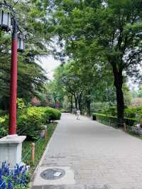 สวนจิ่งซาน(Jingshan Park)จุดชมวิวพระราชวังต้องห้าม
