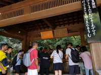 วัดเมจิ (Meiji Jingu) – ศาลเจ้าศักดิ์สิทธิ์