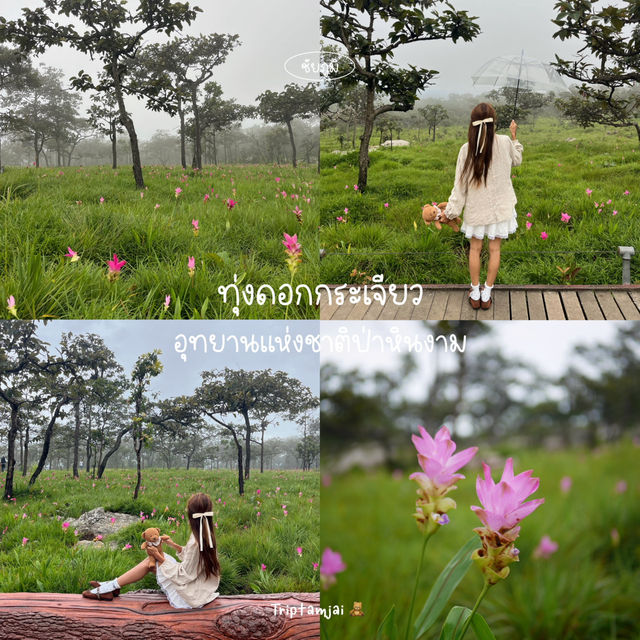 เที่ยวชัยภูมิ 2 วัน 1 คืน 🌷🚗 🌳