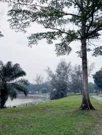 Thrilling Encounters at Crocodile Lake