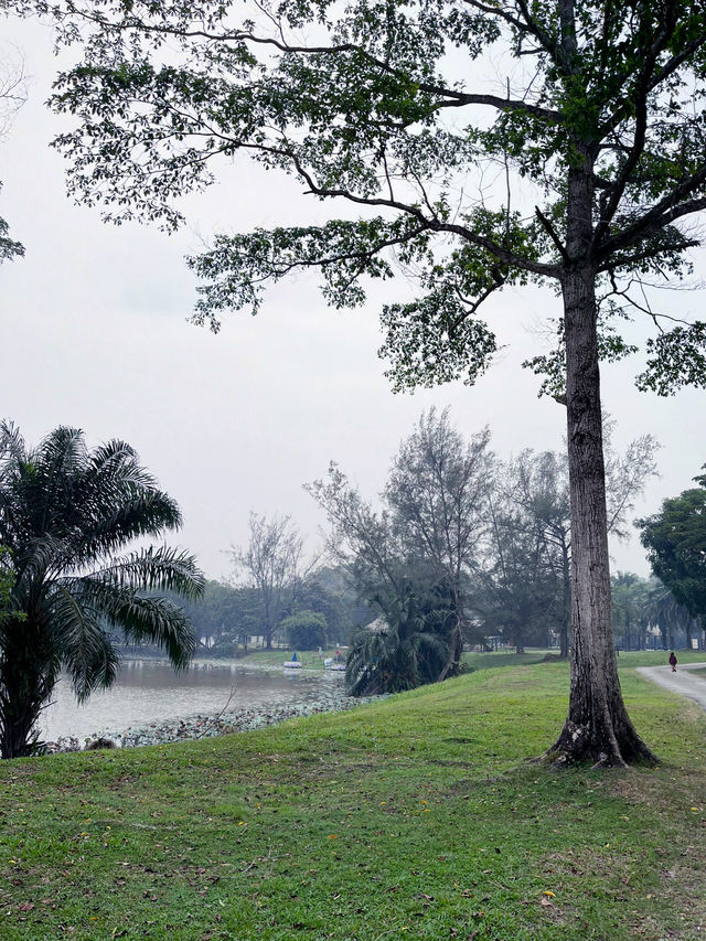 Thrilling Encounters at Crocodile Lake