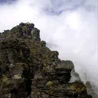 Foggy Fanjingshan, Straight Out of a Dream
