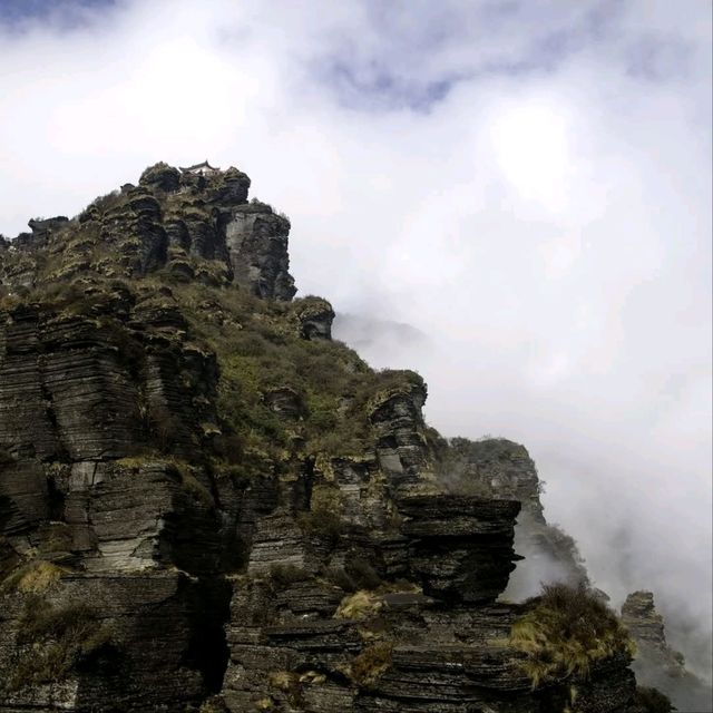 Foggy Fanjingshan, Straight Out of a Dream