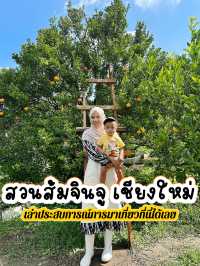สวนส้มจินจู เชียงใหม่