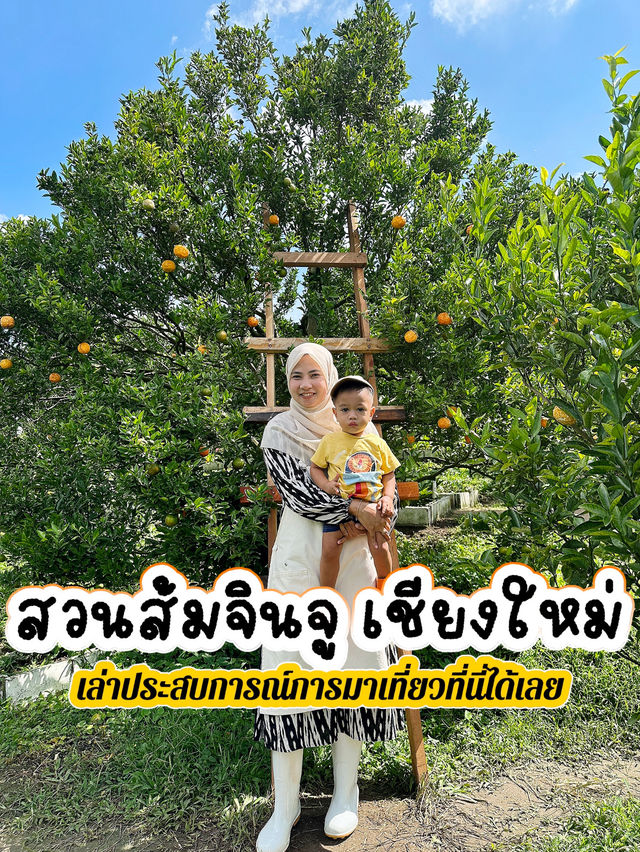 สวนส้มจินจู เชียงใหม่