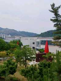 밀양의 역사를 한눈에, 밀양시립박물관