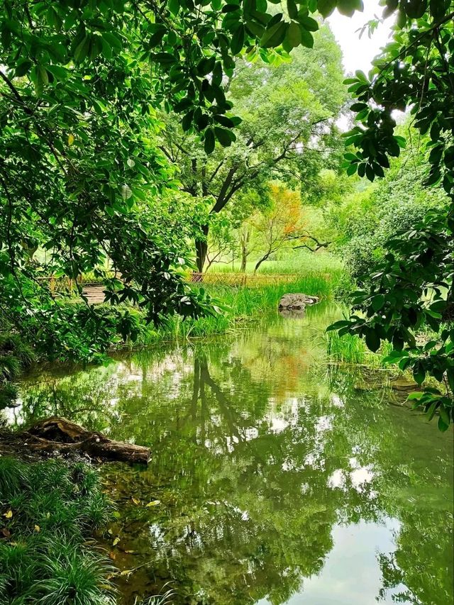 Prince Bay Park: Hangzhou’s Emerald Sanctuary