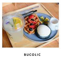 🌳 Bucolic Cafe เขาใหญ่ – คาเฟ่แนวธรรมชาติ