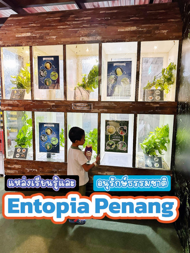 Entopia by Penang Butterfly Farm