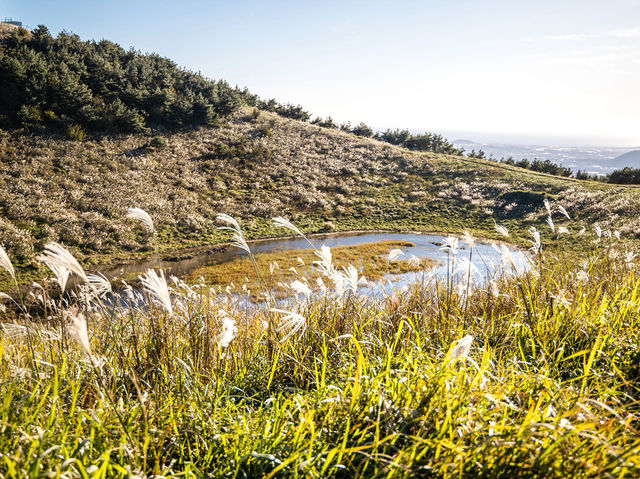 하늘을 걷는 순간, 제주에서 인생샷 날리다 🌾🏔