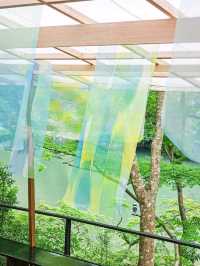 色の魔法に包まれて──光と水が奏でる、嵐山の異空間🎨✨