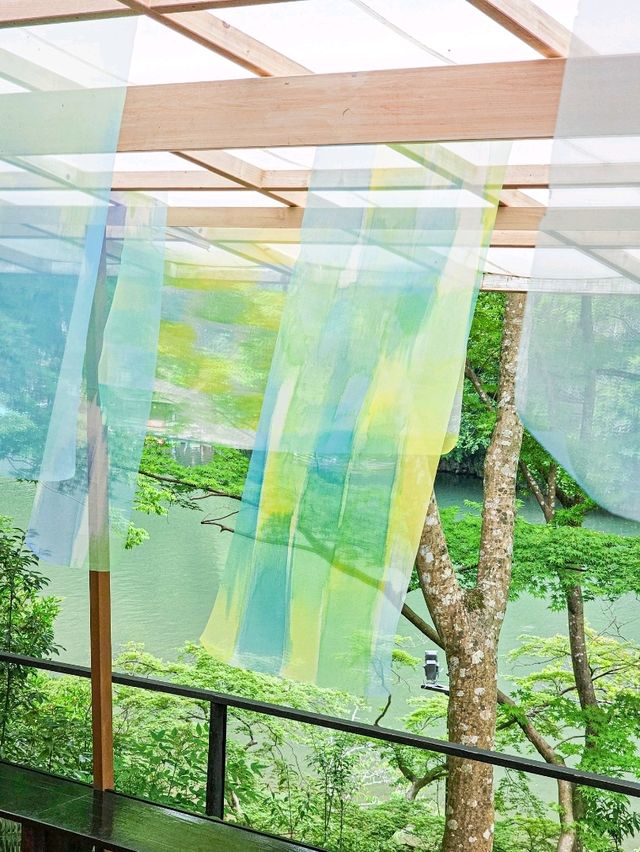 色の魔法に包まれて──光と水が奏でる、嵐山の異空間🎨✨