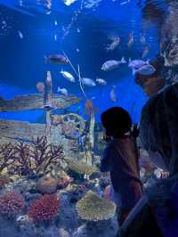 Sea Life Bangkok Ocean World จ.กรุงเทพฯ
