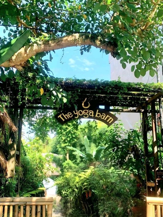 Finding Calm at The Yoga Barn in Bali