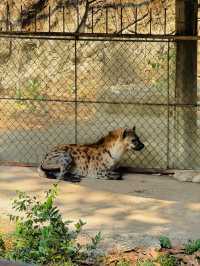 Saigon Zoo