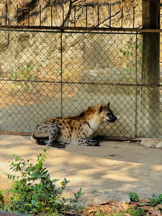 Saigon Zoo