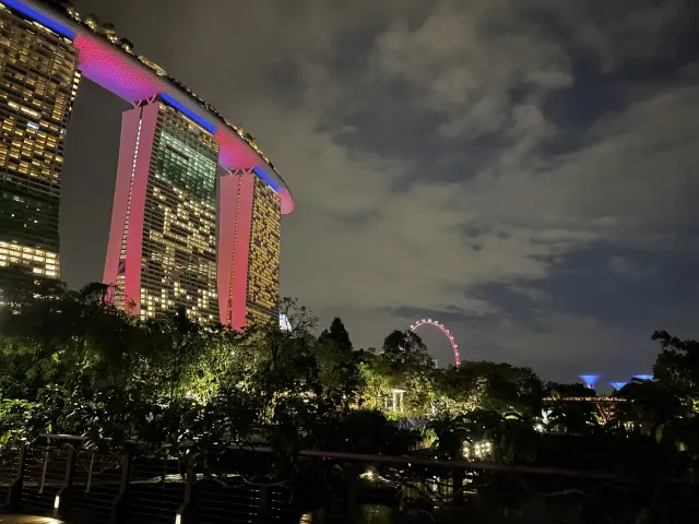 Singapore Night View and Street Scenery