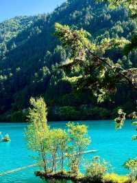 Crystal Lakes and Living Legends: The Magic of Jiuzhaigou