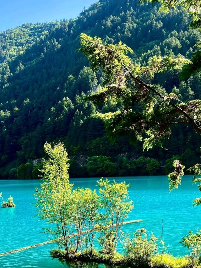 Crystal Lakes and Living Legends: The Magic of Jiuzhaigou